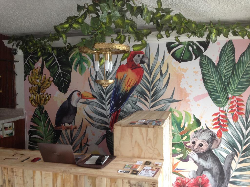 Hostal Casa Paraiso Medellín Extérieur photo