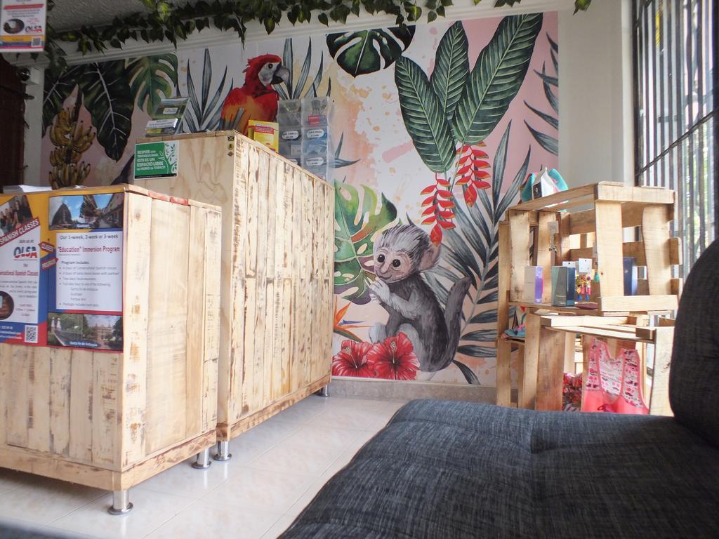 Hostal Casa Paraiso Medellín Extérieur photo