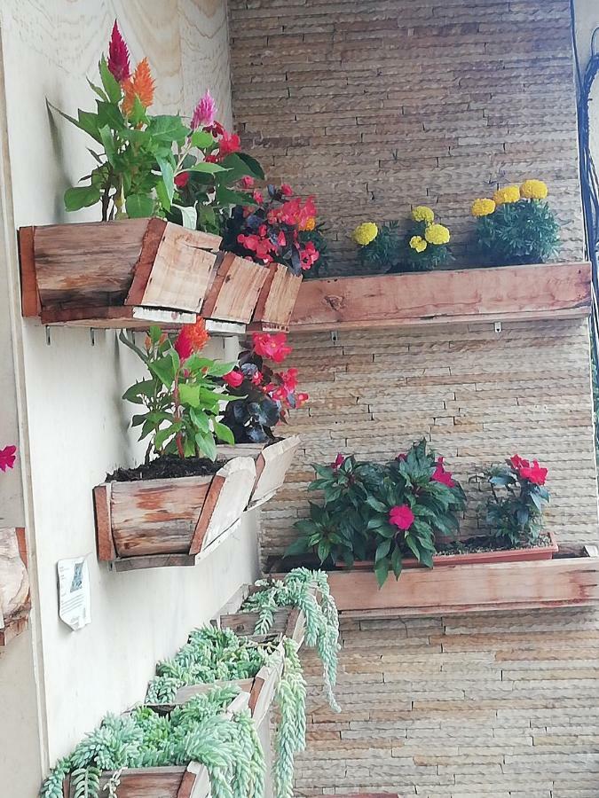 Hostal Casa Paraiso Medellín Extérieur photo